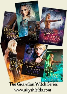 The Guardian Witch Series